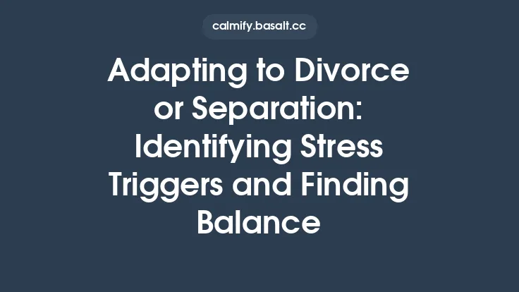 Adapting to Divorce or Separation: Identifying Stress Triggers and Finding Balance Thumbnail