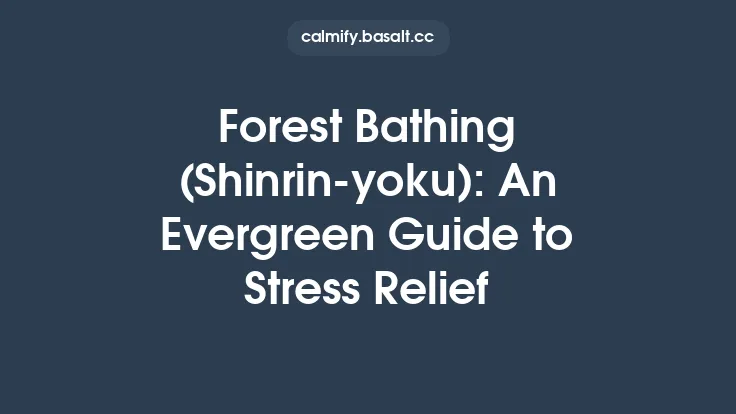 Forest Bathing (Shinrin-yoku): An Evergreen Guide to Stress Relief Thumbnail