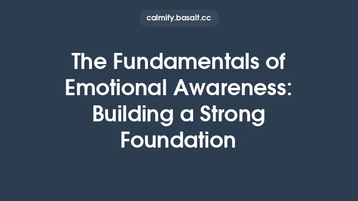 The Fundamentals of Emotional Awareness: Building a Strong Foundation Thumbnail