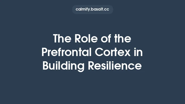 The Role of the Prefrontal Cortex in Building Resilience Thumbnail