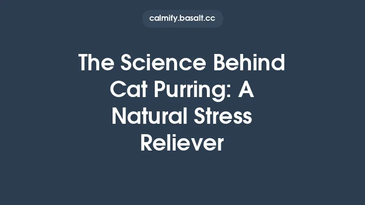 The Science Behind Cat Purring: A Natural Stress Reliever Thumbnail
